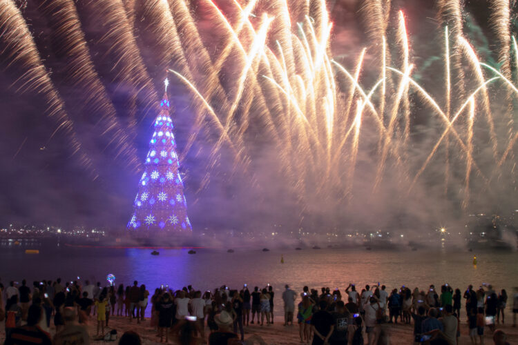 Daily briefing — Dec. 1